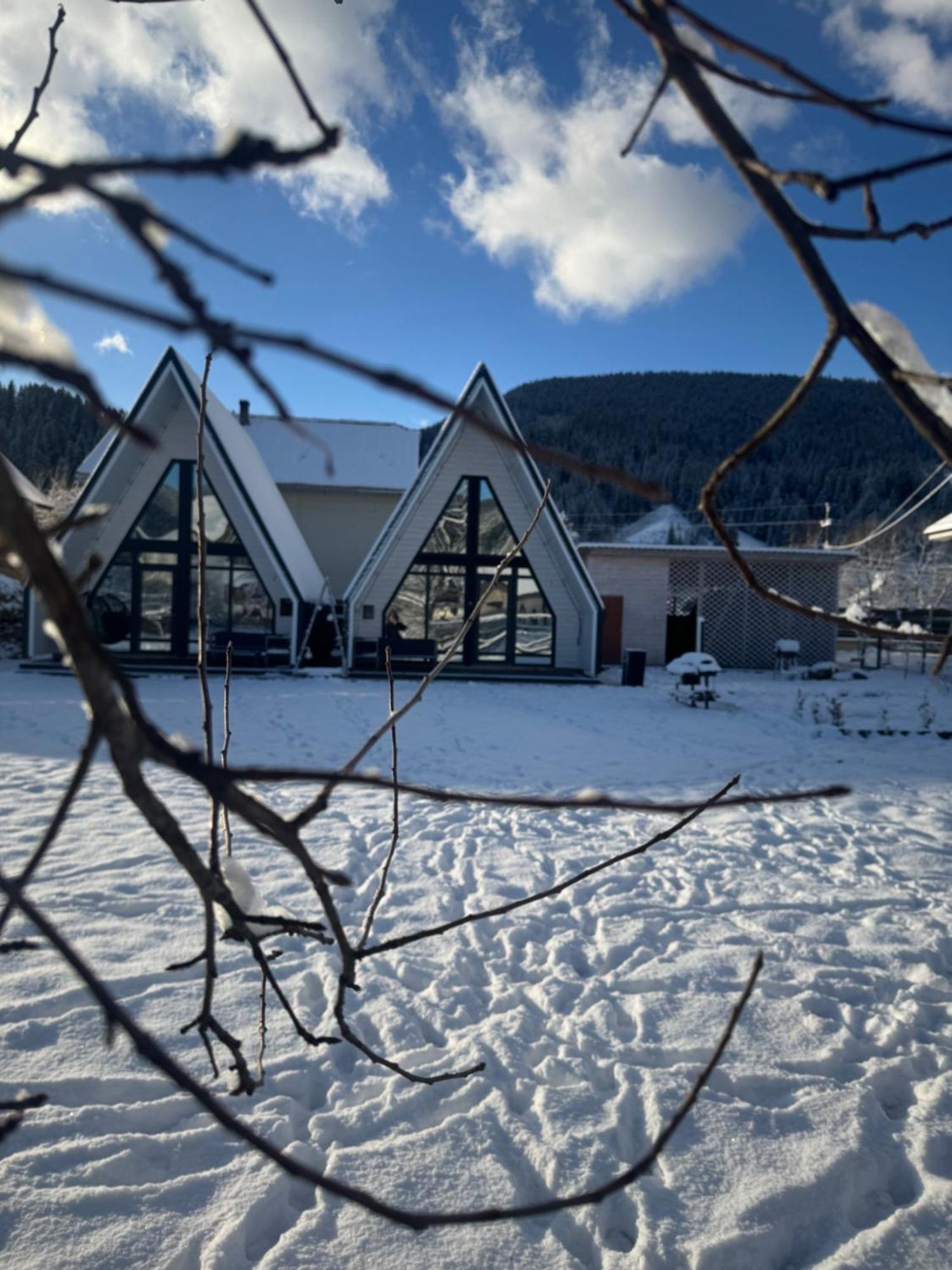 Шале Welkome Verkhovyna Exterior photo