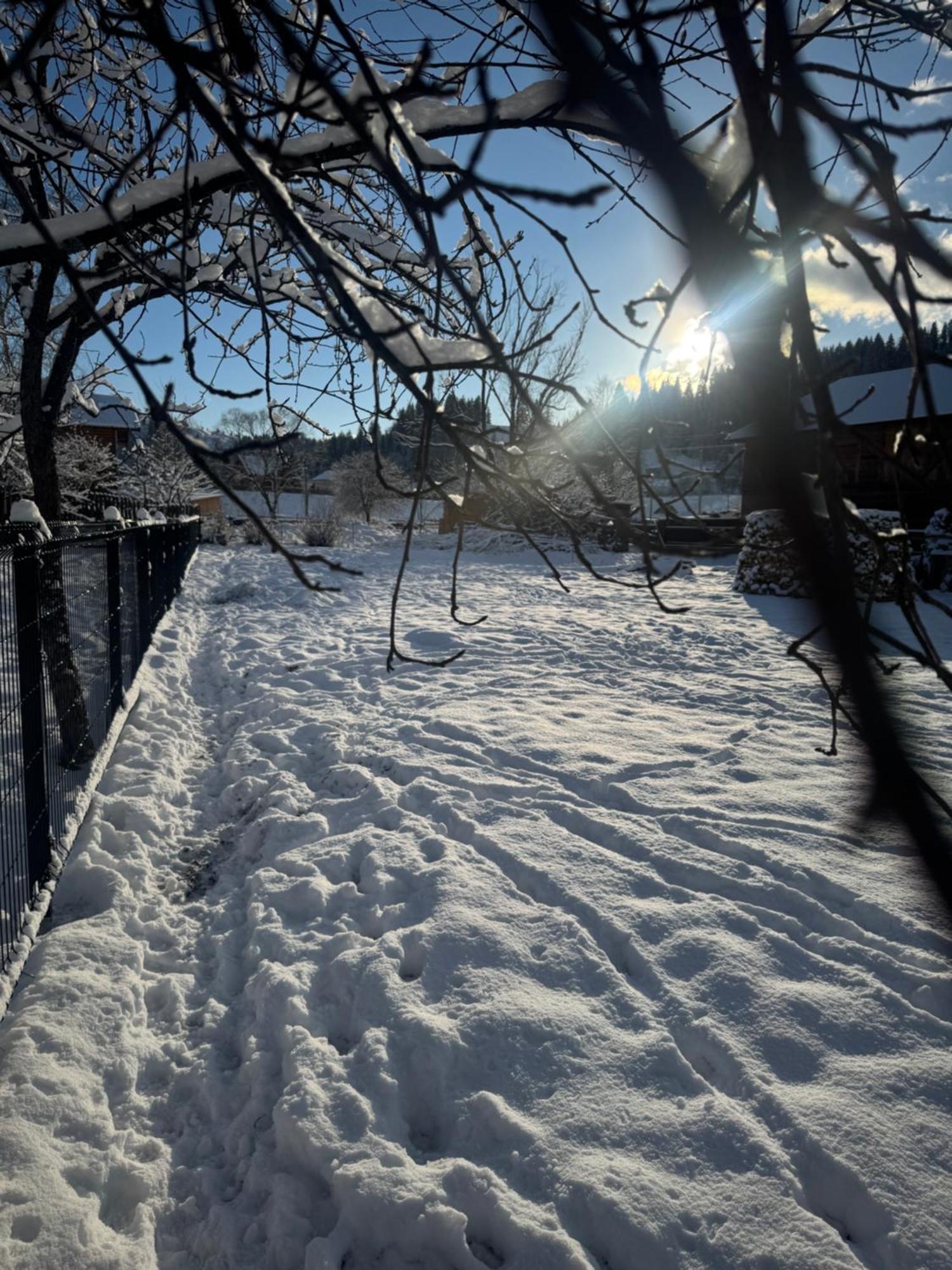 Шале Welkome Verkhovyna Exterior photo